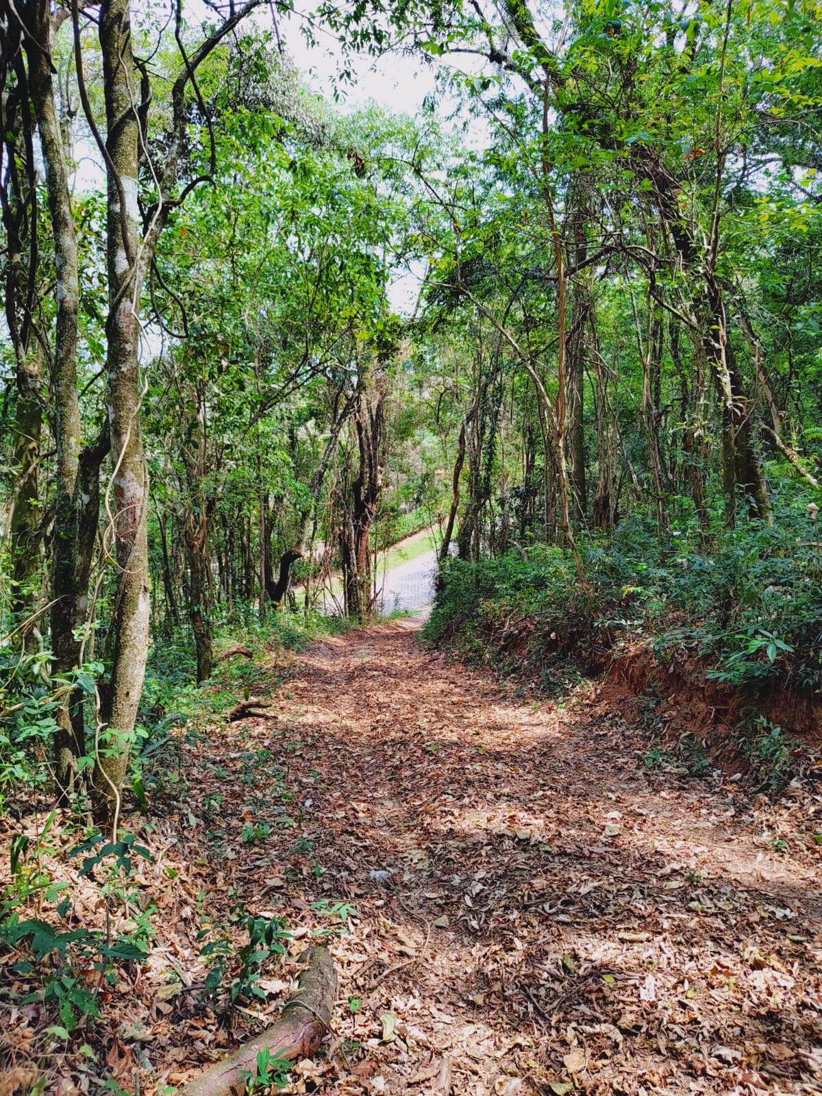 #TRC0563 - Chácara para Venda em Itatiba - SP