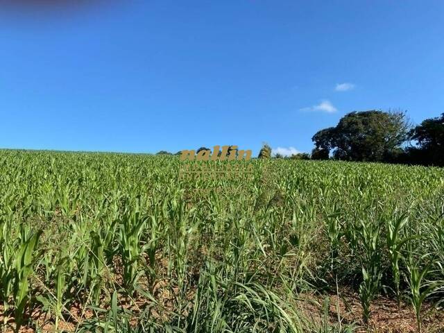 Área para Venda em Jarinu - 4