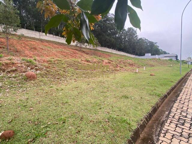 Área para Venda em Itatiba - 4